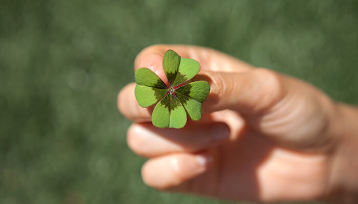 Four-Leaf Clover