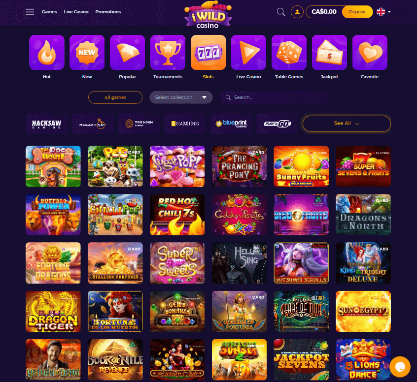 iWild Casino Desktop Preview 2