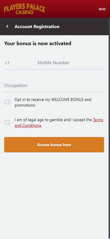 Players Palace Casino Registration Process Image 5
